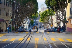 San Francisco Ultimate City Tour with Bay Cruise Option