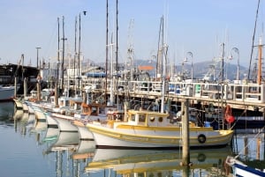 San Francisco Ultimate City Tour med Bay Cruise Option