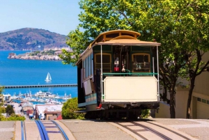 San Francisco Ultimate City Tour med Bay Cruise-alternativ