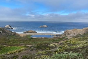 Уникальный тур по Сан-Франциско с круизом по заливу