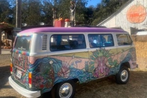 San Francisco: VW Hippie Bus privat oplevelse