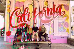 San Francisco Walking Instagram Tour Privat og alt inkludert