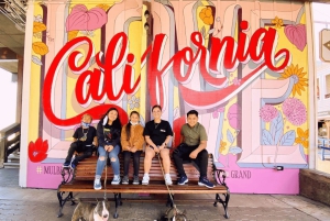 Tour Instagram a piedi di San Francisco privato e tutto incluso