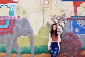 Tour Instagram a piedi di San Francisco privato e tutto incluso