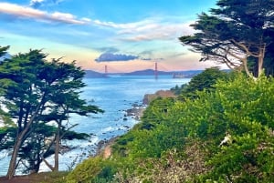 San Francisco: Wild Coast Tour
