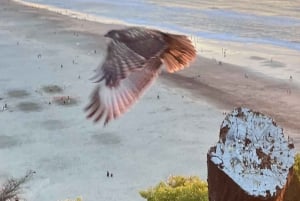 San Francisco: Wild Coast Tour