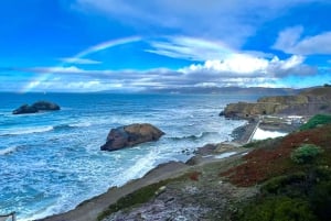 San Francisco: Wild Coast Tour