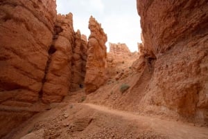 Yosemite, Las Vegas, Bryce & Zion, 6-dages tur