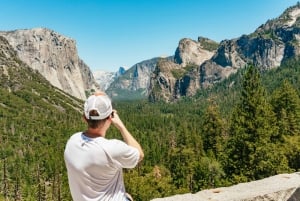 Yosemite National Park & Giant Sequoias Hike