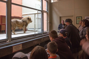 San Francisco: toegangskaartje dierentuin