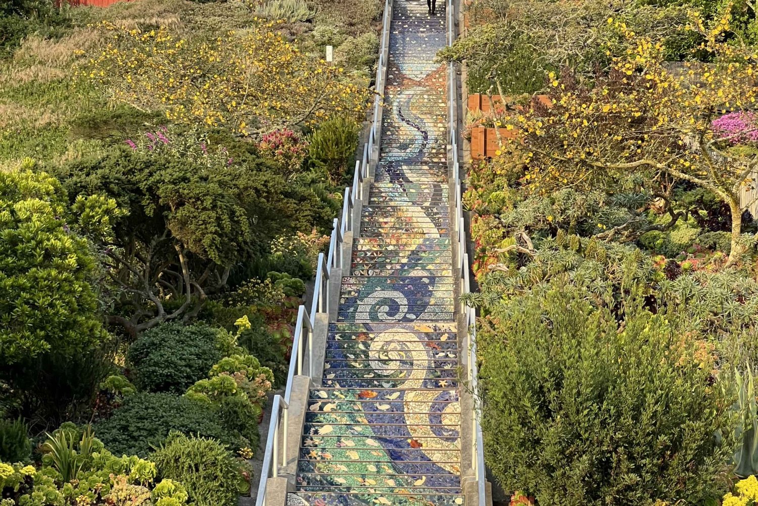 Il lato selvaggio di San Francisco, ecotour con meteorologo