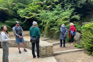 San Franciscon villi puoli, ekomatka meteorologin kanssa