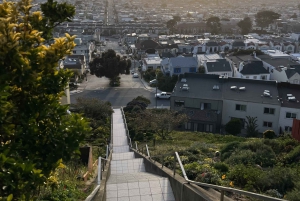 San Franciscon villi puoli, ekomatka meteorologin kanssa