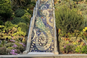 San Franciscon villi puoli, ekomatka meteorologin kanssa