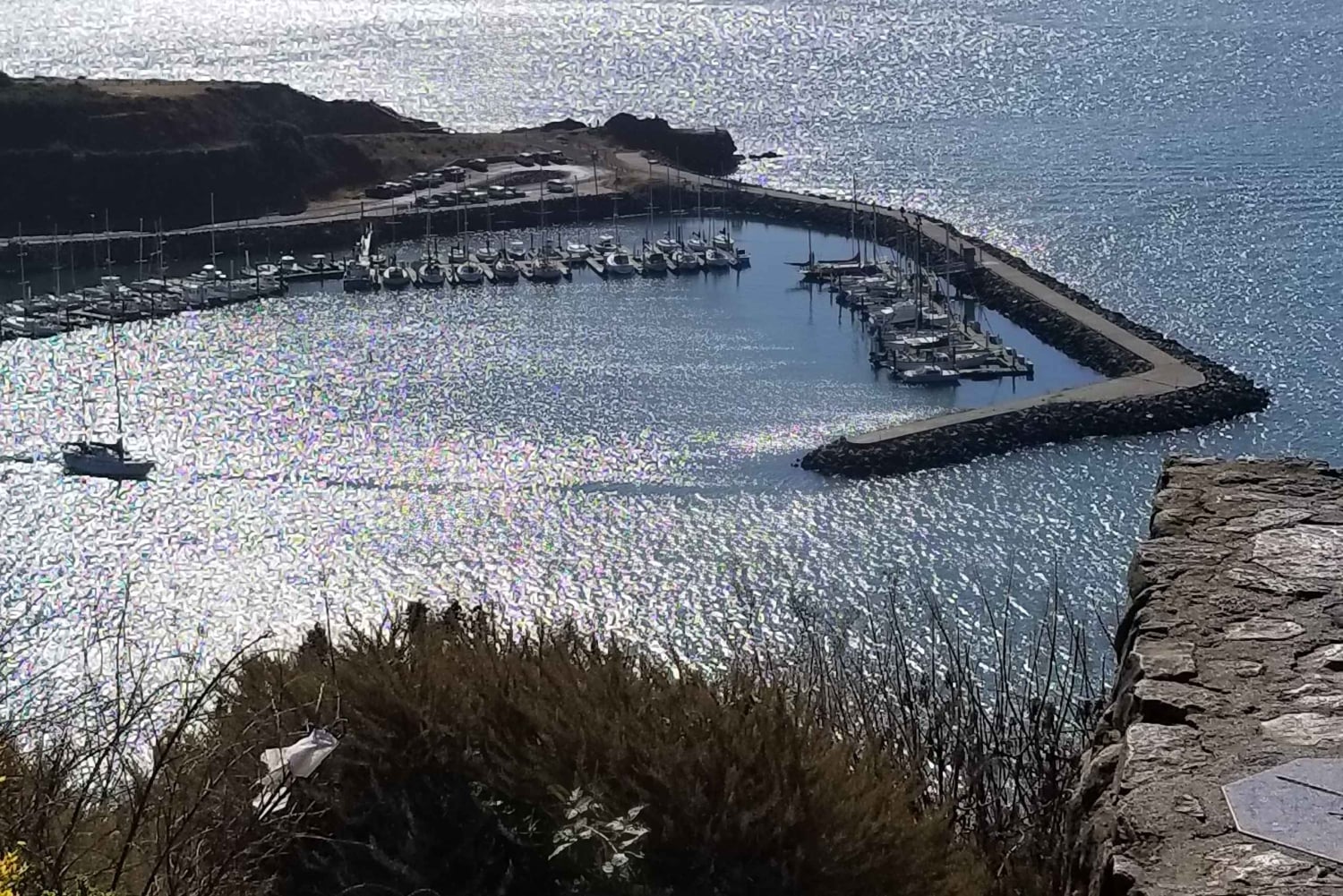 São Francisco: Tour particular a Muir Woods e Marin Headlands