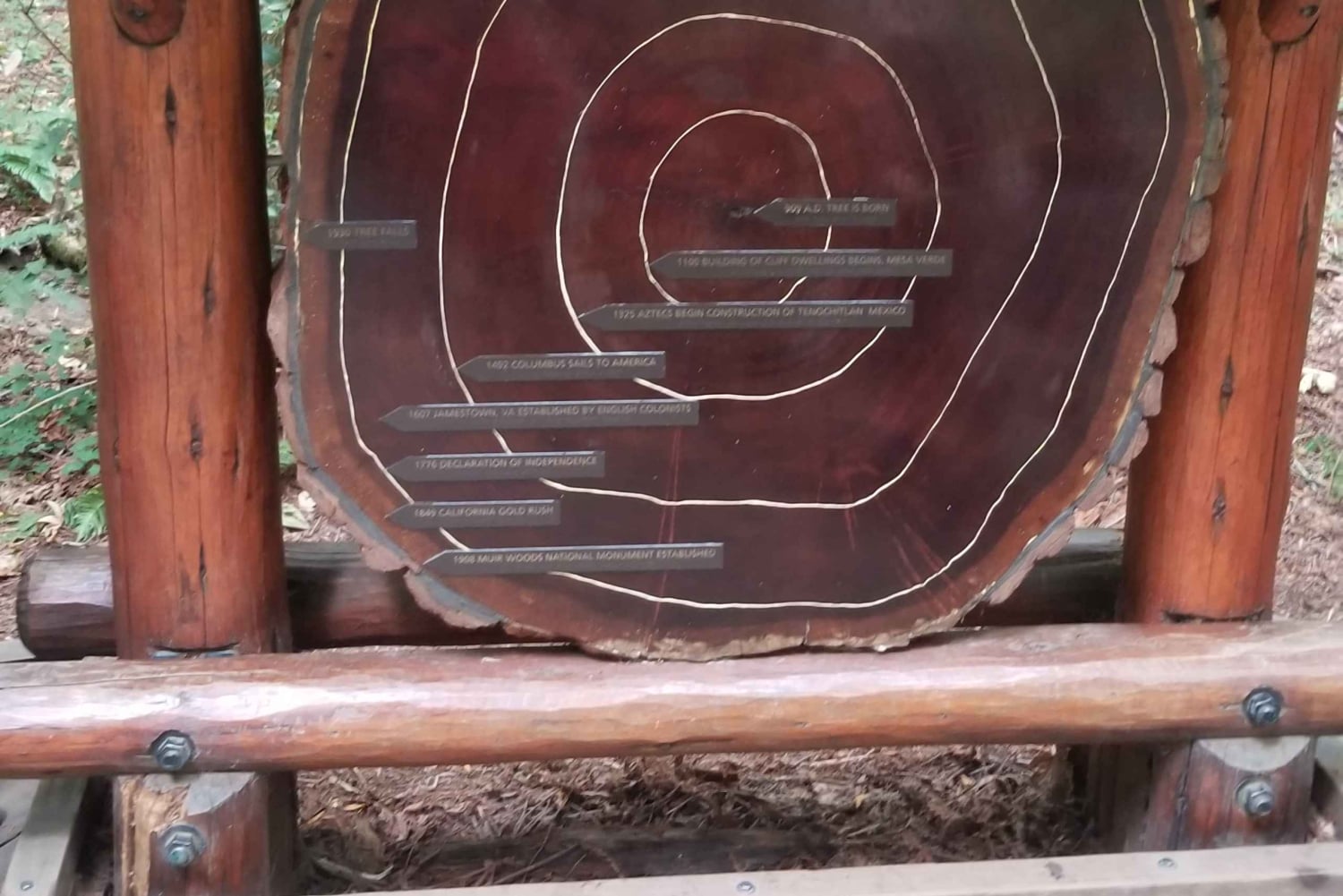 São Francisco: Tour particular a Muir Woods e Marin Headlands