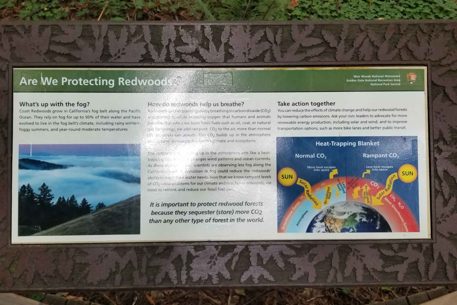 São Francisco: Tour particular a Muir Woods e Marin Headlands