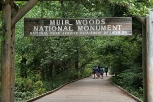 São Francisco: Tour particular a Muir Woods e Marin Headlands