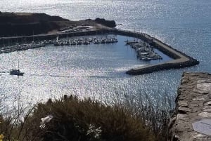 São Francisco: Tour particular a Muir Woods e Marin Headlands