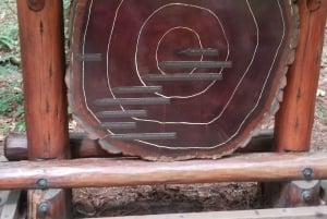 São Francisco: Tour particular a Muir Woods e Marin Headlands