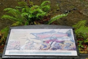 São Francisco: Tour particular a Muir Woods e Marin Headlands