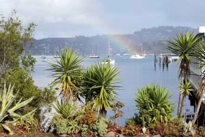 São Francisco: Tour particular a Muir Woods e Marin Headlands