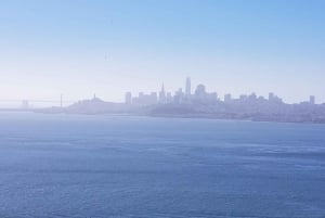 São Francisco: Tour particular a Muir Woods e Marin Headlands