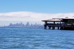 São Francisco: Tour particular a Muir Woods e Marin Headlands