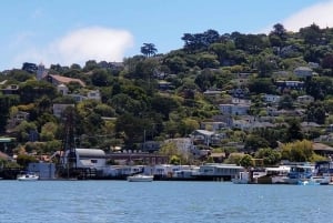 São Francisco: Tour particular a Muir Woods e Marin Headlands