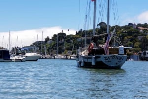 São Francisco: Tour particular a Muir Woods e Marin Headlands