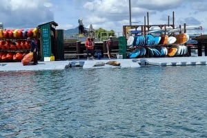 São Francisco: Tour particular a Muir Woods e Marin Headlands