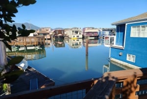 São Francisco: Tour particular a Muir Woods e Marin Headlands