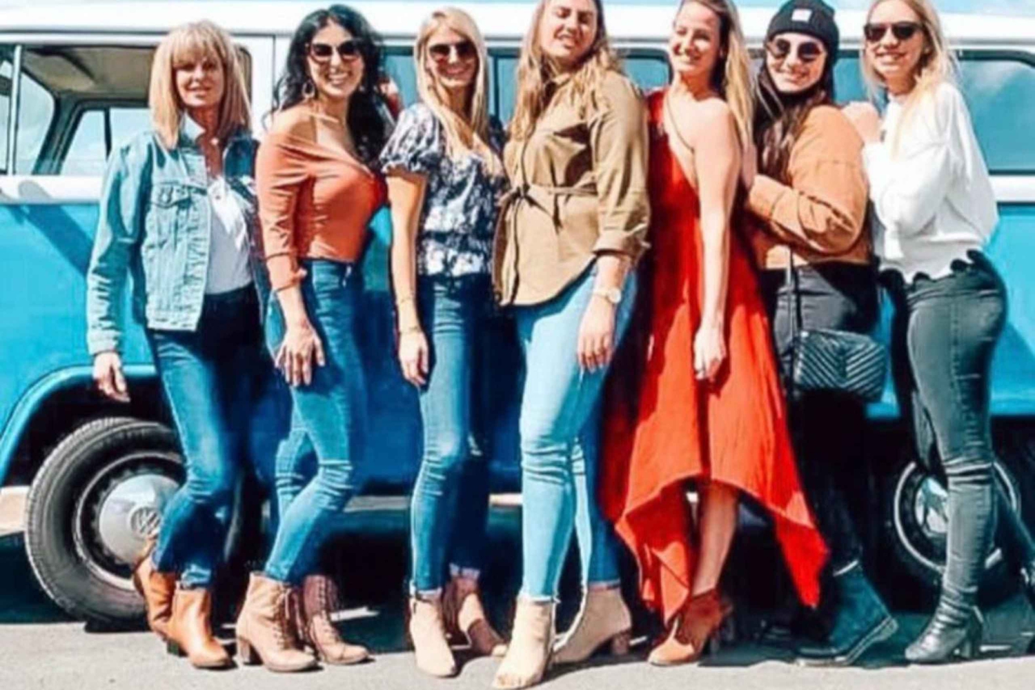 San Francisco: Tour in autobus di VW d'epoca nella campagna vinicola per piccoli gruppi