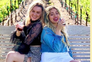 San Francisco: Tour in autobus di VW d'epoca nella campagna vinicola per piccoli gruppi