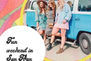 San Francisco: Tour in autobus di VW d'epoca nella campagna vinicola per piccoli gruppi