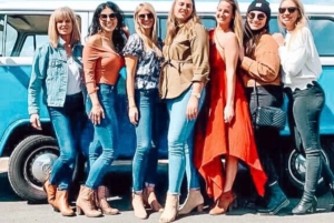 San Francisco: Tour in autobus di VW d'epoca nella campagna vinicola per piccoli gruppi