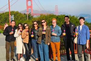 San Francisco: Tour in autobus di VW d'epoca nella campagna vinicola per piccoli gruppi