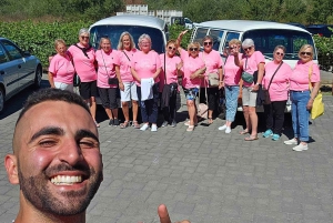 San Francisco: Tour in autobus di VW d'epoca nella campagna vinicola per piccoli gruppi