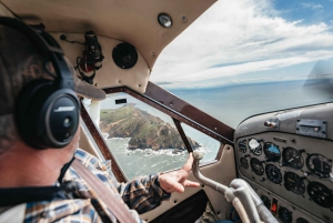 Sausalito: Norcal Coastal Tour