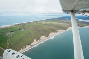 Sausalito: Norcal Coastal Tour