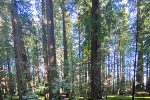 Seattle til California: nasjonalparker og kystreisetur