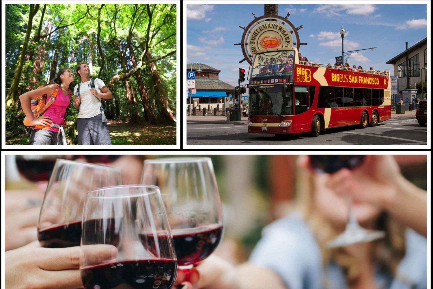 SF Bundle: Wine Country, Redwoods, and Hop-on Hop-off Tour