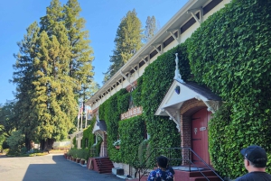 Det bästa av San Francisco: vinlandet, redwoodskogarna och sightseeing med hop-on hop-off