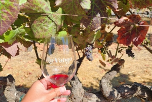 Det bästa av San Francisco: vinlandet, redwoodskogarna och sightseeing med hop-on hop-off