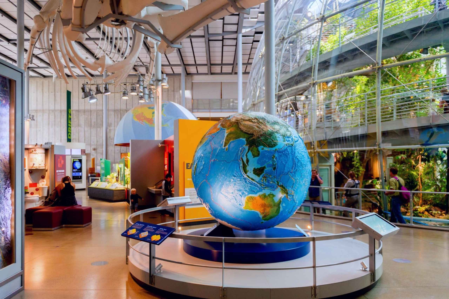 SF: CA Academy of Sciences e tour Hop-on Hop-off (con un risparmio del 15%)