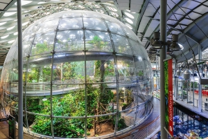 SF: CA Academy of Sciences e tour Hop-on Hop-off (con un risparmio del 15%)