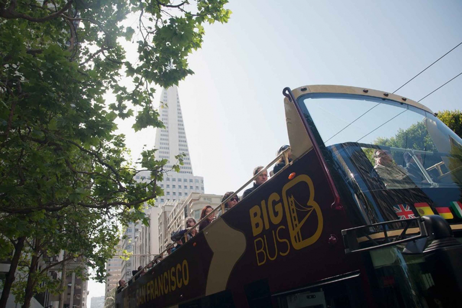 SF: Hop-On Hop-Off Bus Tour & California Academy of Sciences