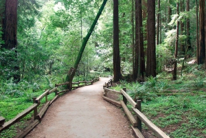 SF: Guidet Muir Woods-tur og Hop-On Hop-Off-tur (spar 15 %)