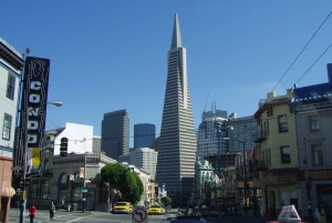 SF: Guidet Muir Woods-tur og Hop-On Hop-Off-tur (spar 15 %)