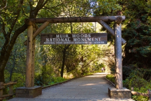 SF: Muir Woods, Sausalito, Golden Gate Bridge – private Tour